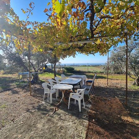 Spacious Studio In Yeroskipou Κολώνη Εξωτερικό φωτογραφία