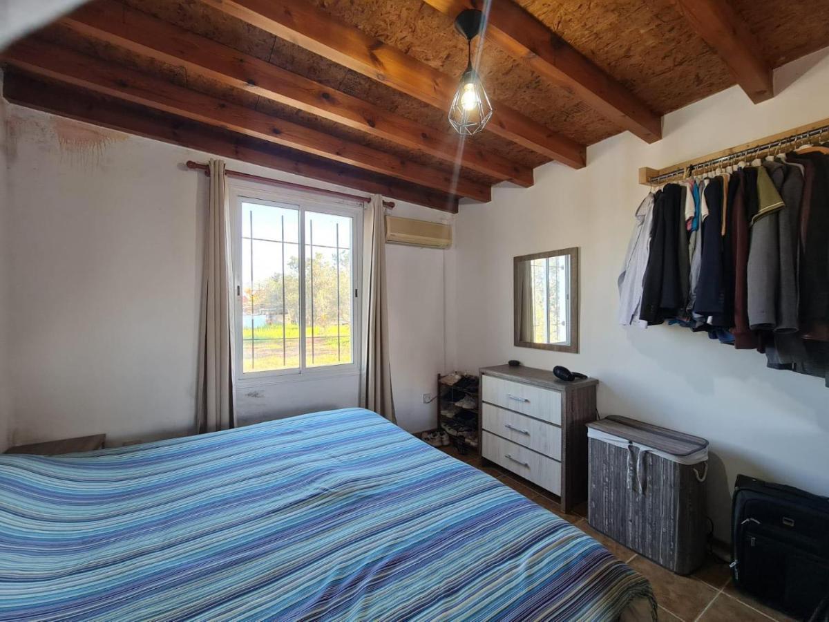 Spacious Studio In Yeroskipou Κολώνη Εξωτερικό φωτογραφία
