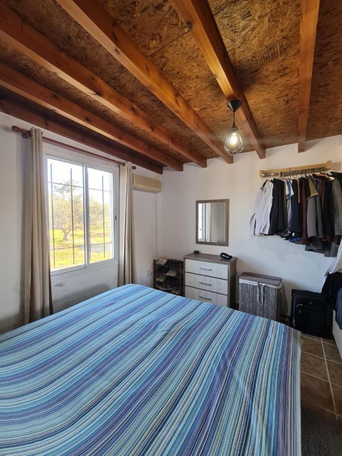 Spacious Studio In Yeroskipou Κολώνη Εξωτερικό φωτογραφία